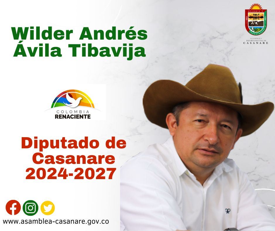 Wilder Andres Avila Tibavija